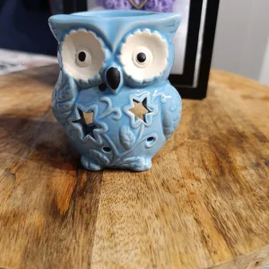 mini bruleur hibou bleu
